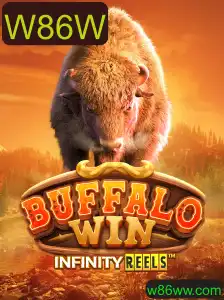 Descubra BuffaloWin: Aventura e Estratégia no Novo Jogo de Cartas